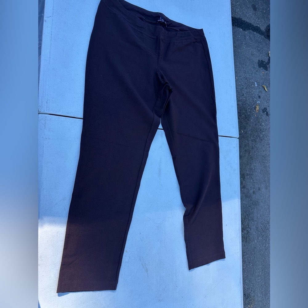 Eileen Fisher Women's Brown Chinos